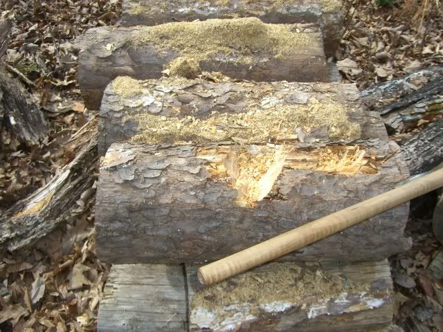 CIMG8174.jpg
