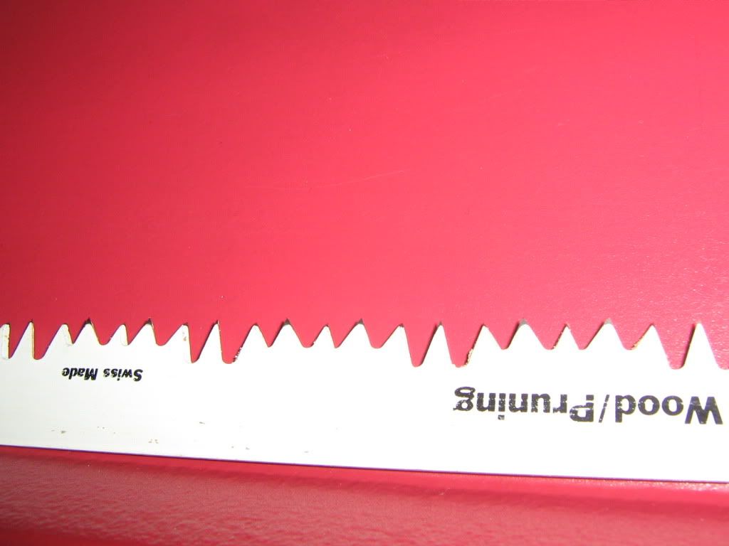 magbarpruning005.jpg