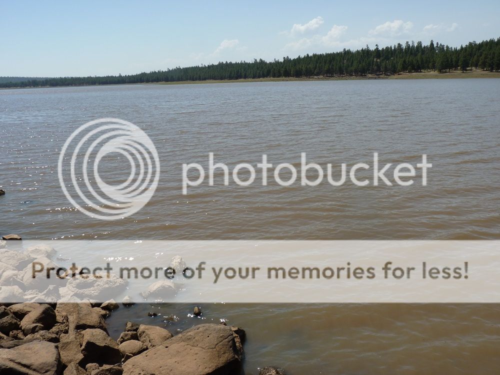 P1070688_zps53d1756a.jpg