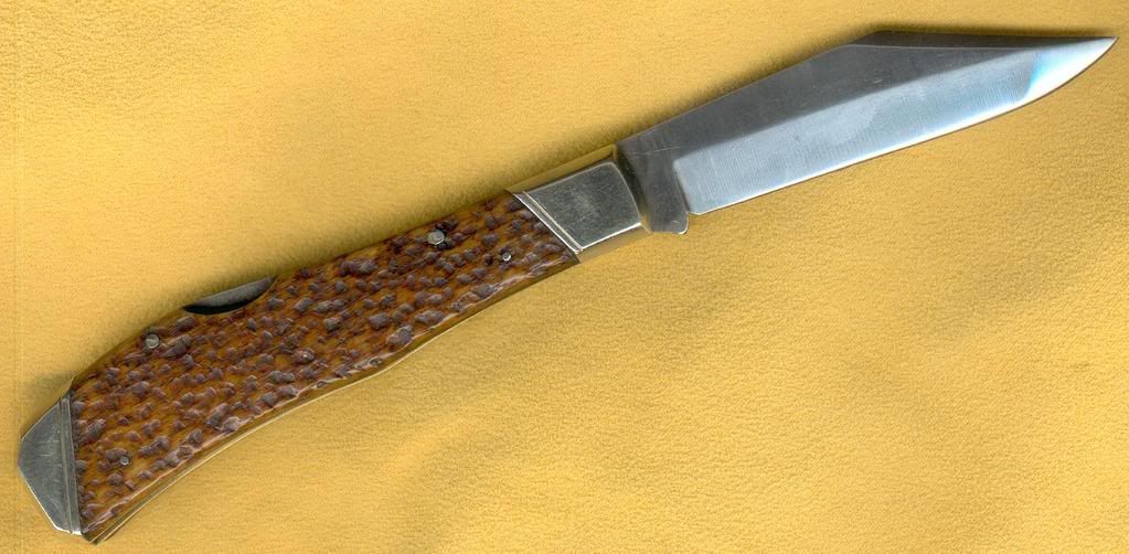 ShapleighSaddlehorn3.jpg