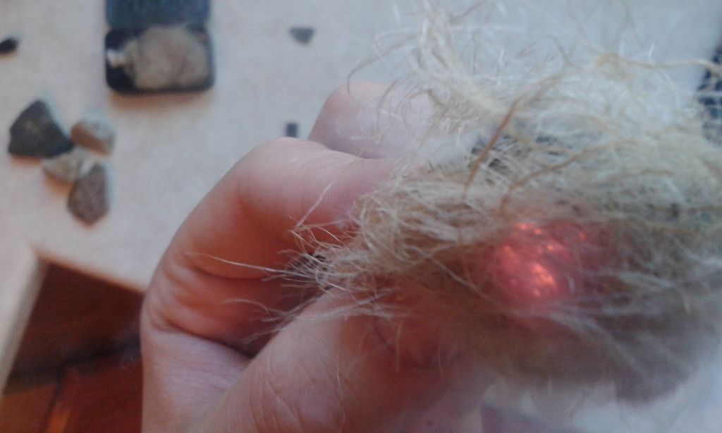 20150810_093755_zpsbccjfcrh.jpg