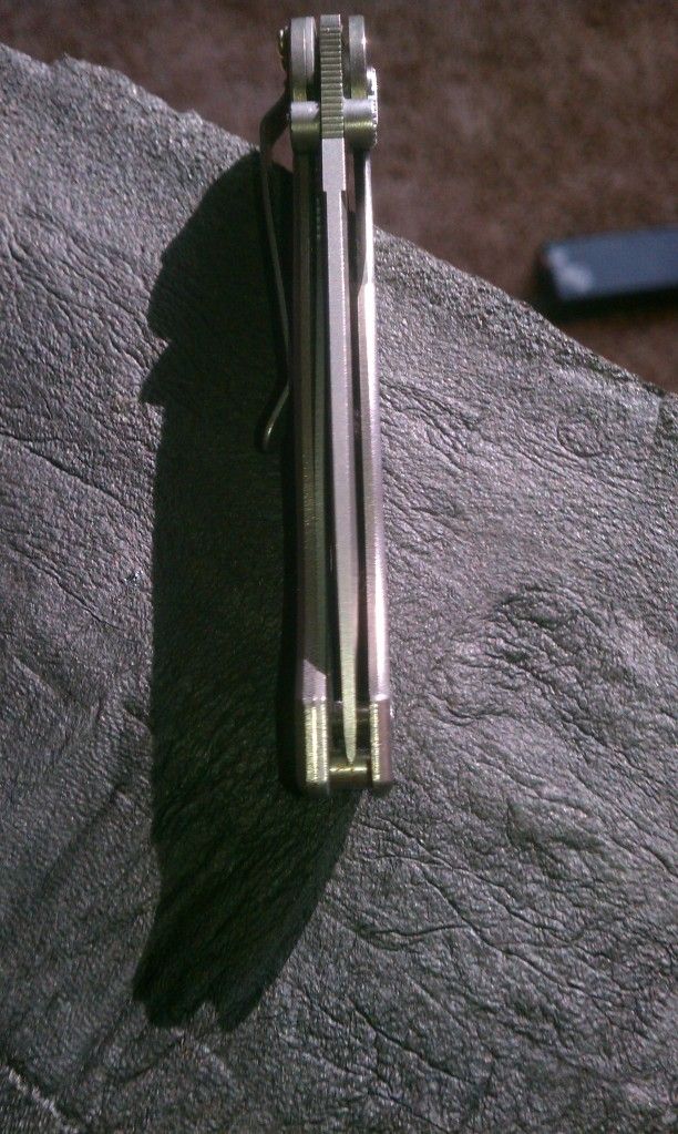 IMAG0065.jpg