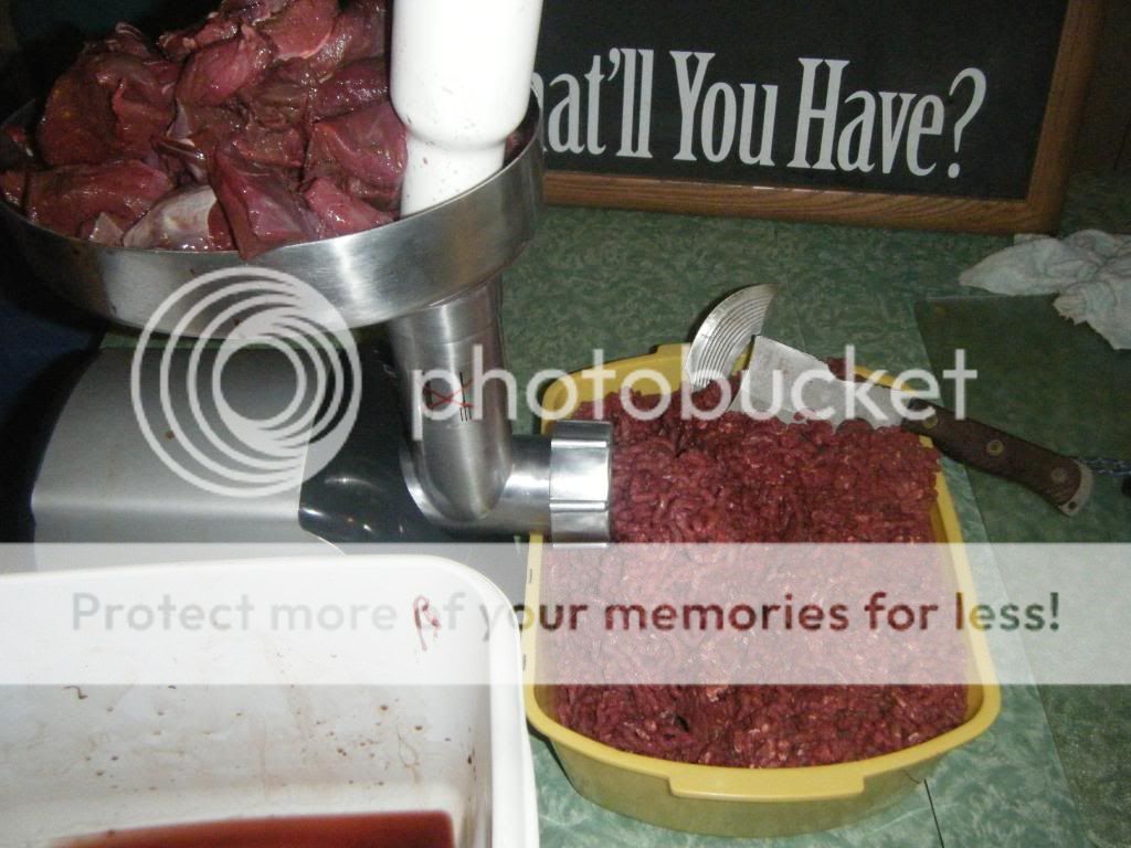 DSCF9547.jpg