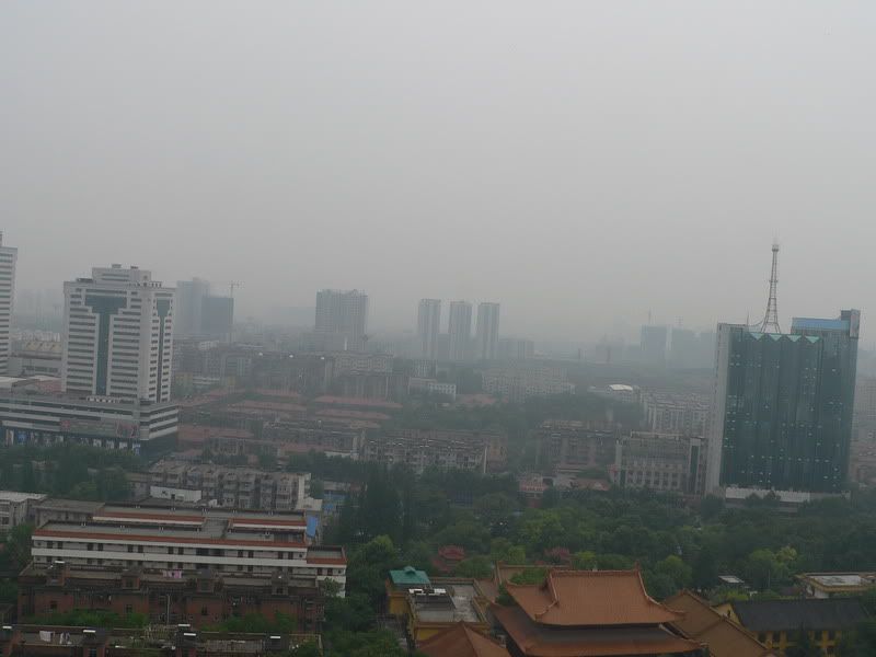 P1400609.jpg