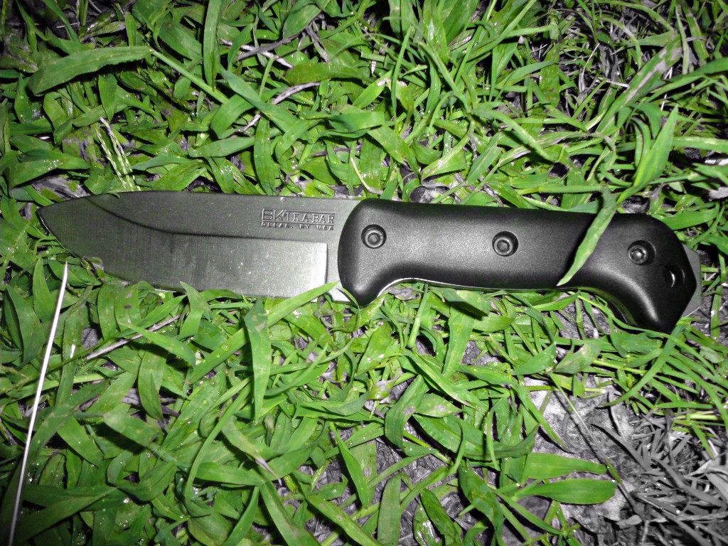 BK-2stripped004.jpg