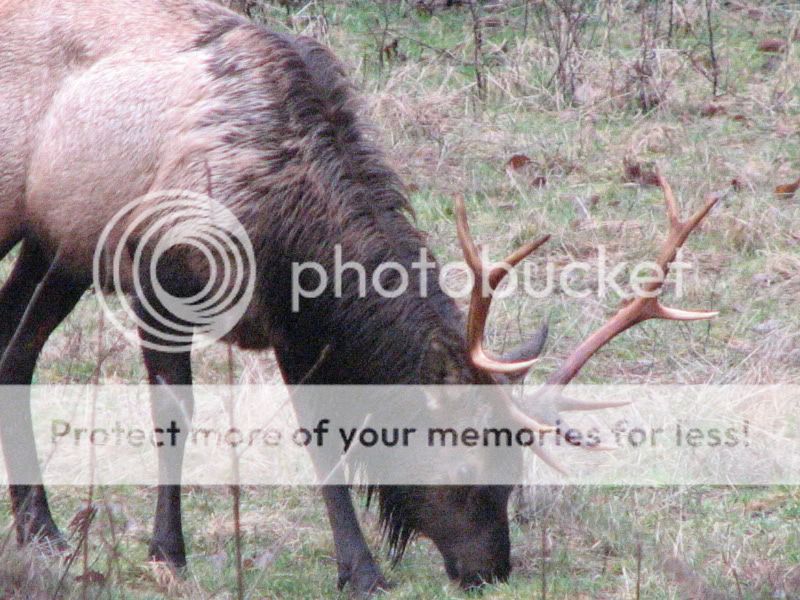 IMG_0101.jpg