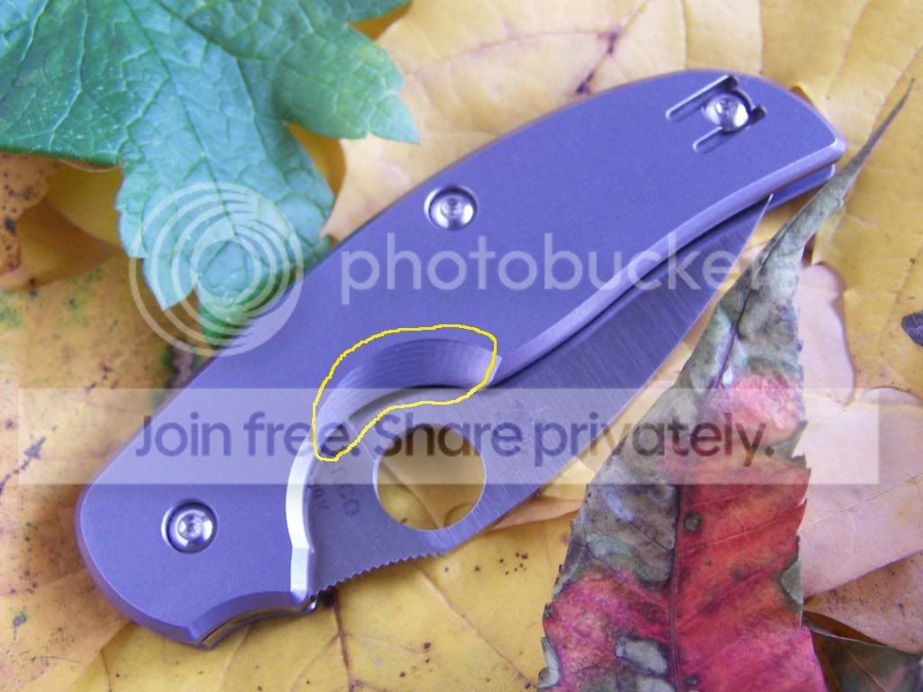 Spyderco-SageRILTi036machinemarks.jpg