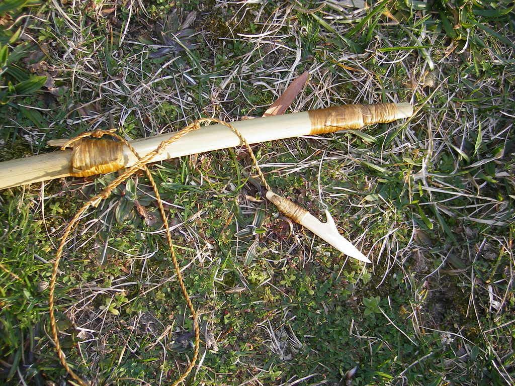 IMGP0672.jpg