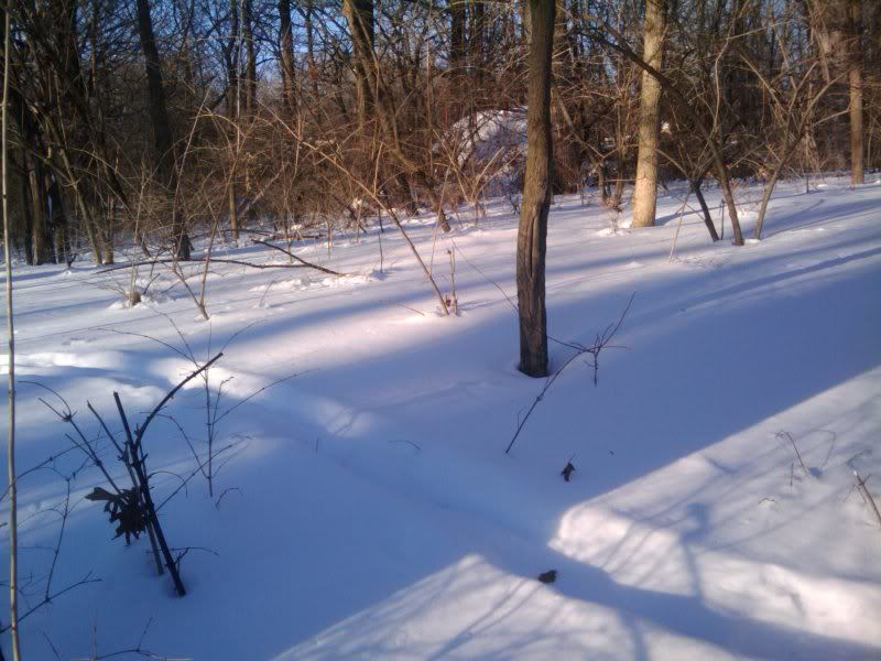 2011-02-03160644.jpg