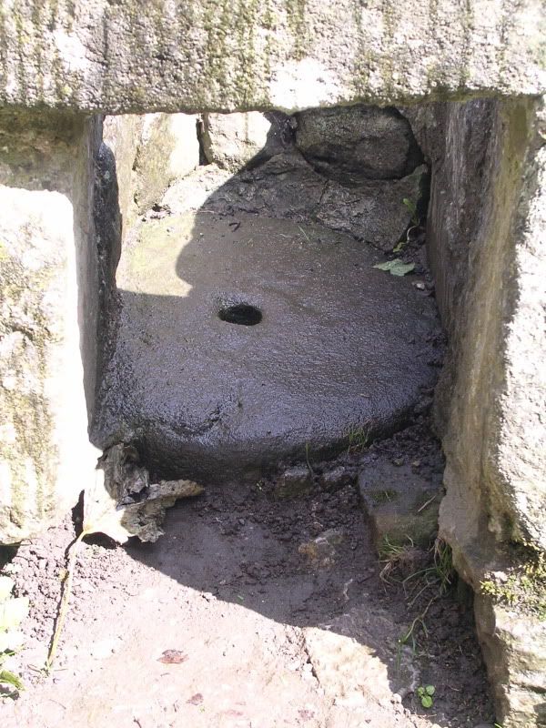 DSCN1500.jpg