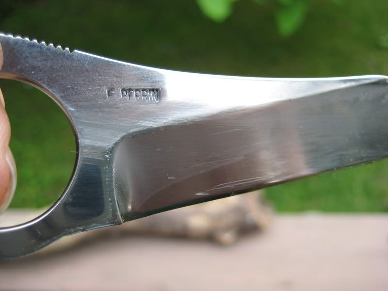 snakeeyelagriffe003.jpg