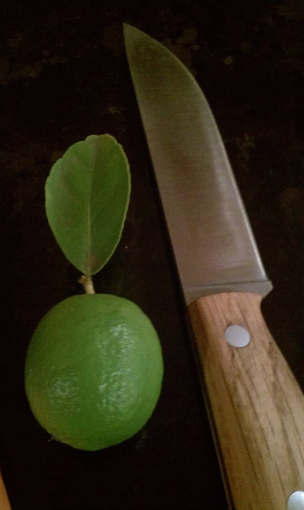 IMAG0253.jpg