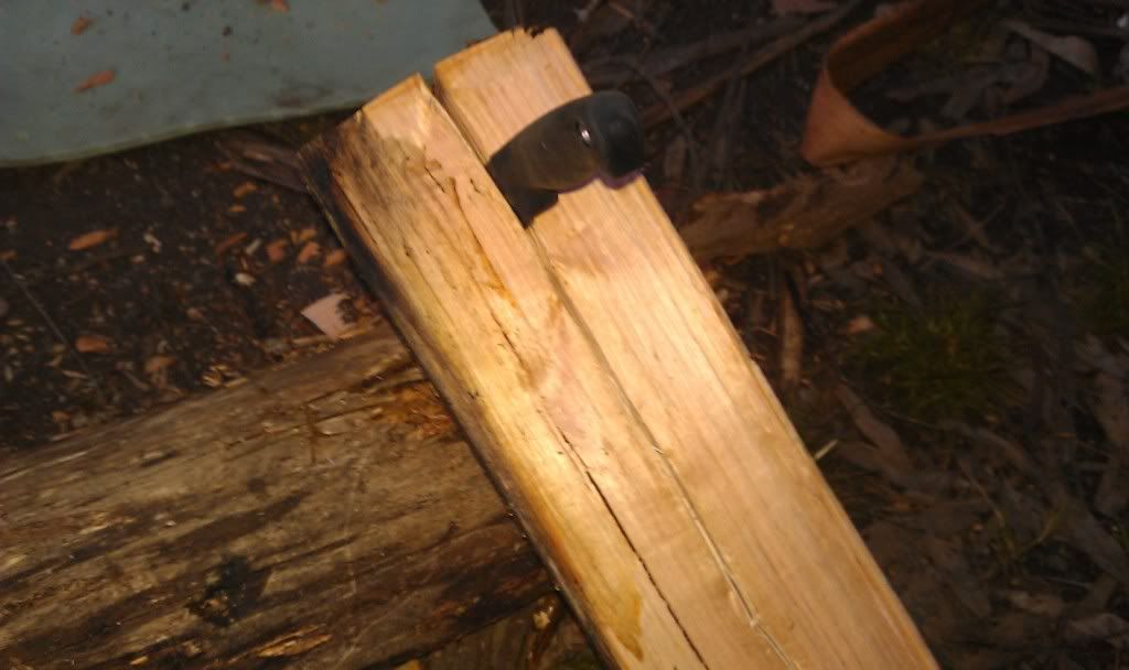 IMAG0177.jpg
