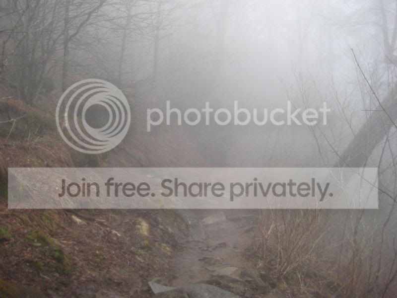 FoggyTrail_1.jpg