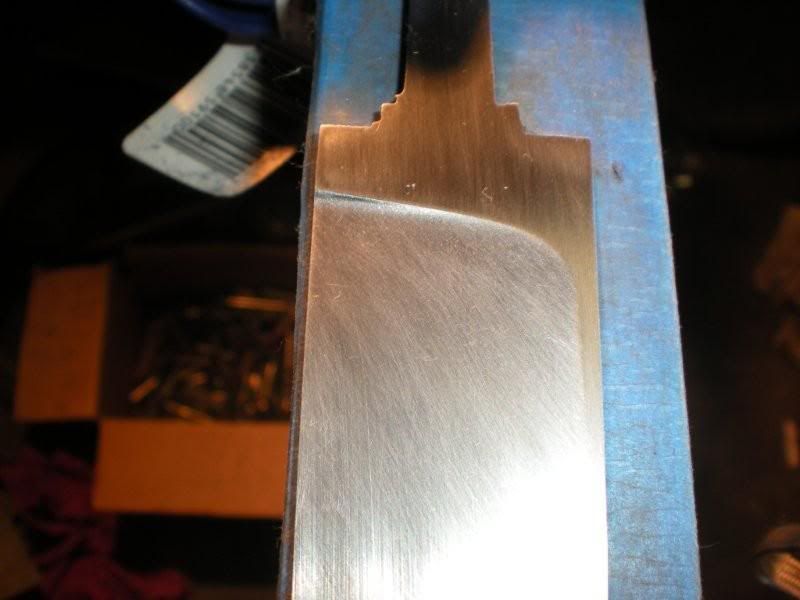 DSCN0913.jpg