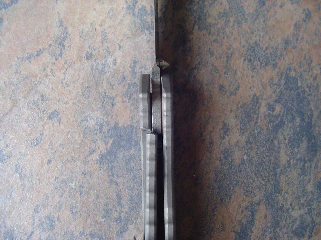 DSC04926.jpg