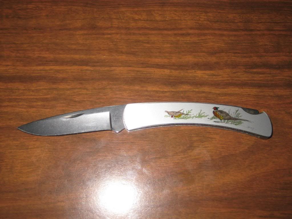 buck2_zps31405179.jpg
