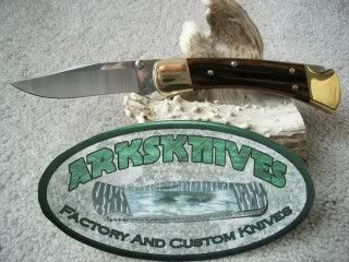 Buck110DropPoint486Blade3.jpg