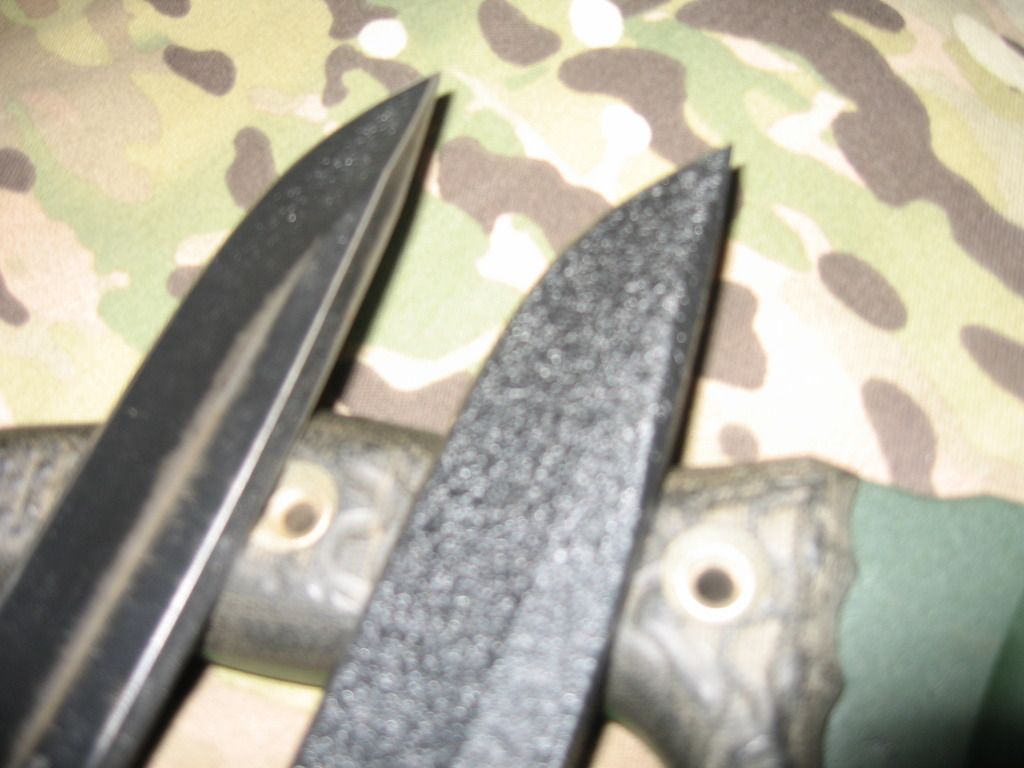 IMG_3976_zpshh1hlztw.jpg