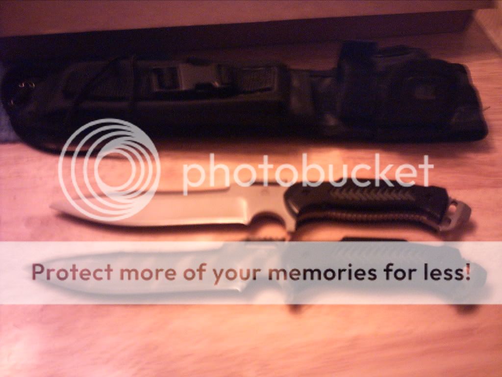 PICT0012-5.jpg