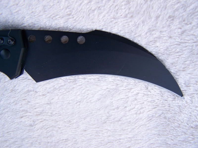 MTHAWK3.jpg