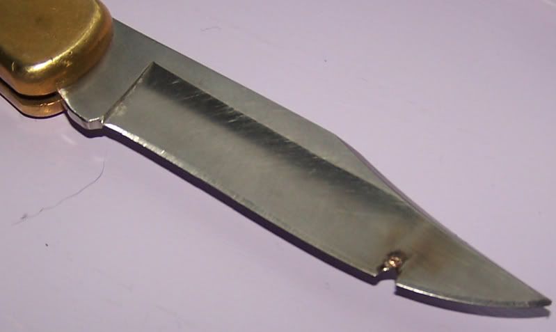 100_8000.jpg