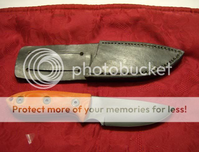 HPIM0652.jpg