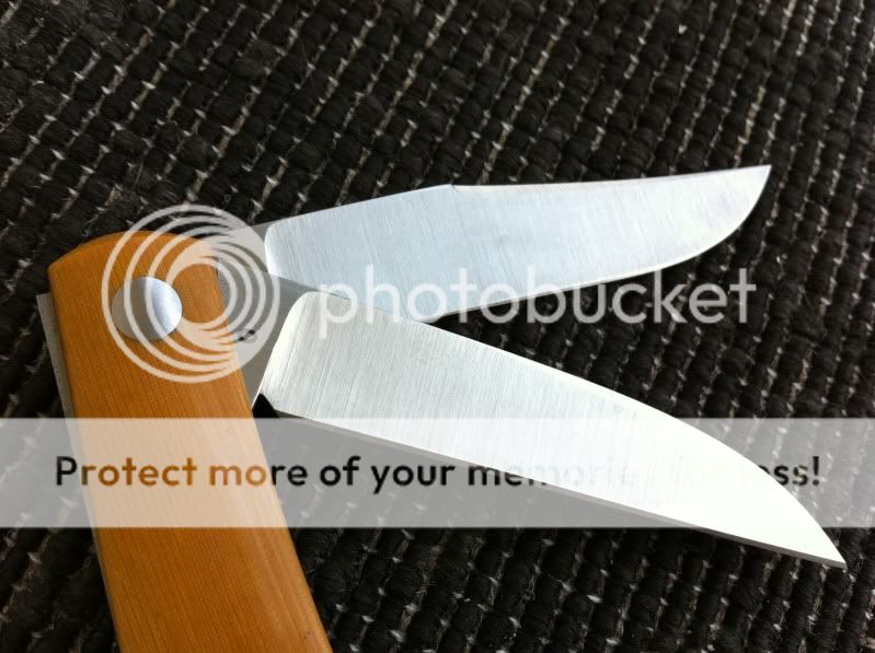 Photo4-6.jpg