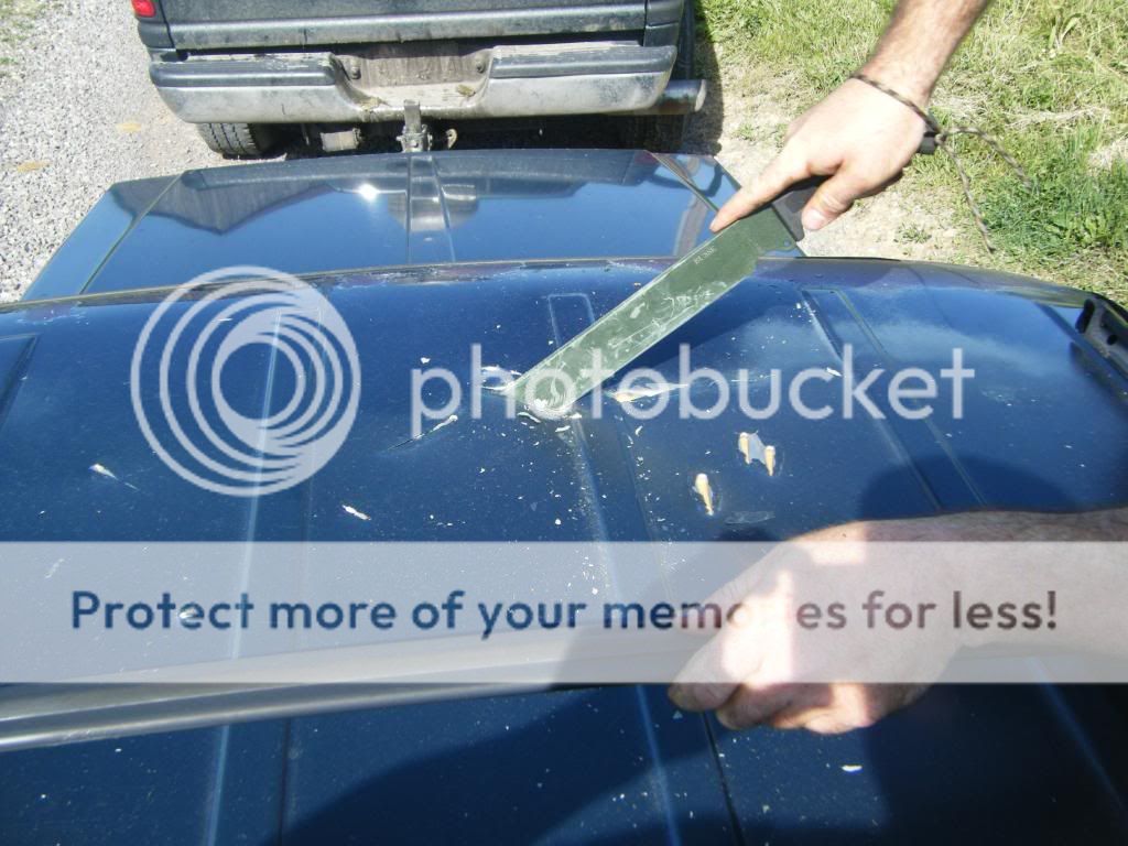 DSCF9170.jpg