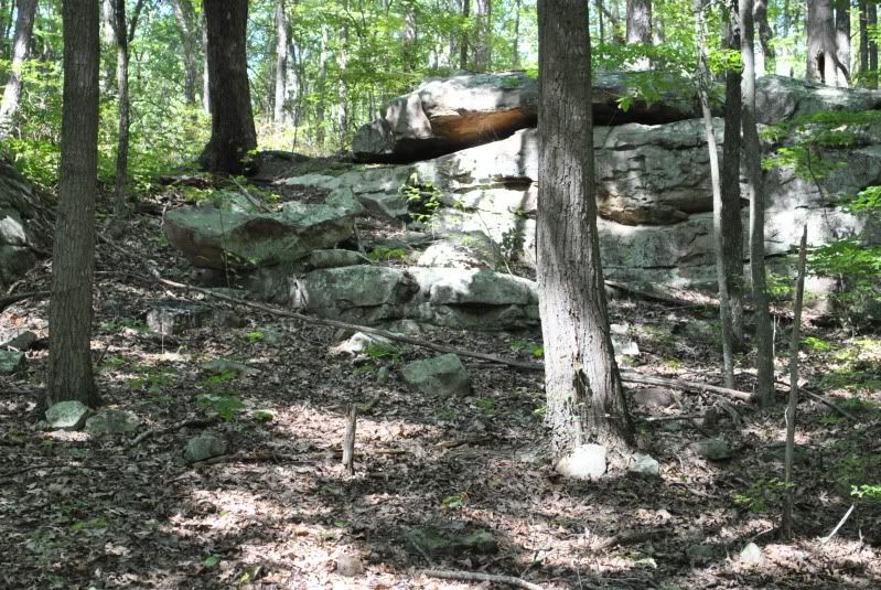 DSC_2448.jpg