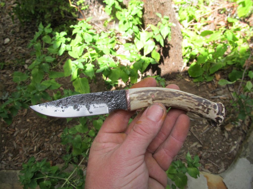 whiteltailmiserywhip018.jpg
