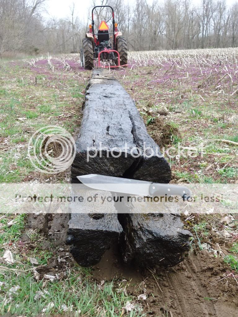 DSC00263_zps1df5d25f.jpg