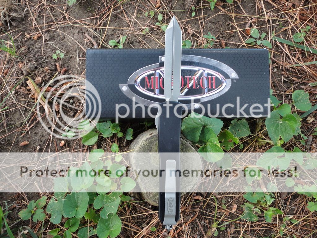 DSC00380_zps1jcgfemx.jpg