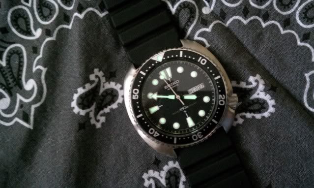 IMAG0249.jpg