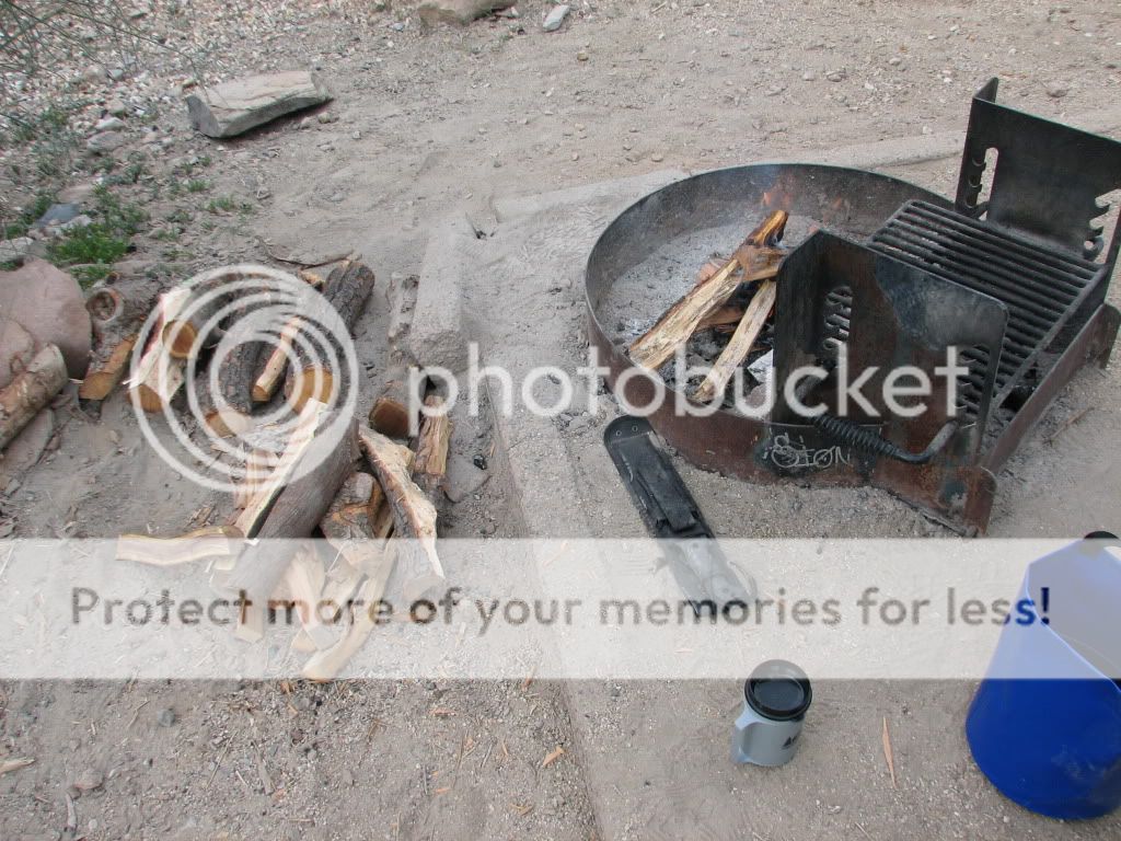 IMG_3761.jpg