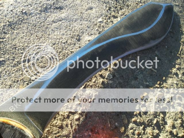 100_2050.jpg