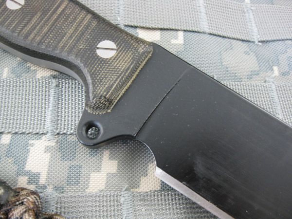 Busse_SHSHII_005.jpg