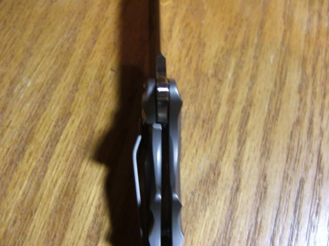 DSCF2176.jpg