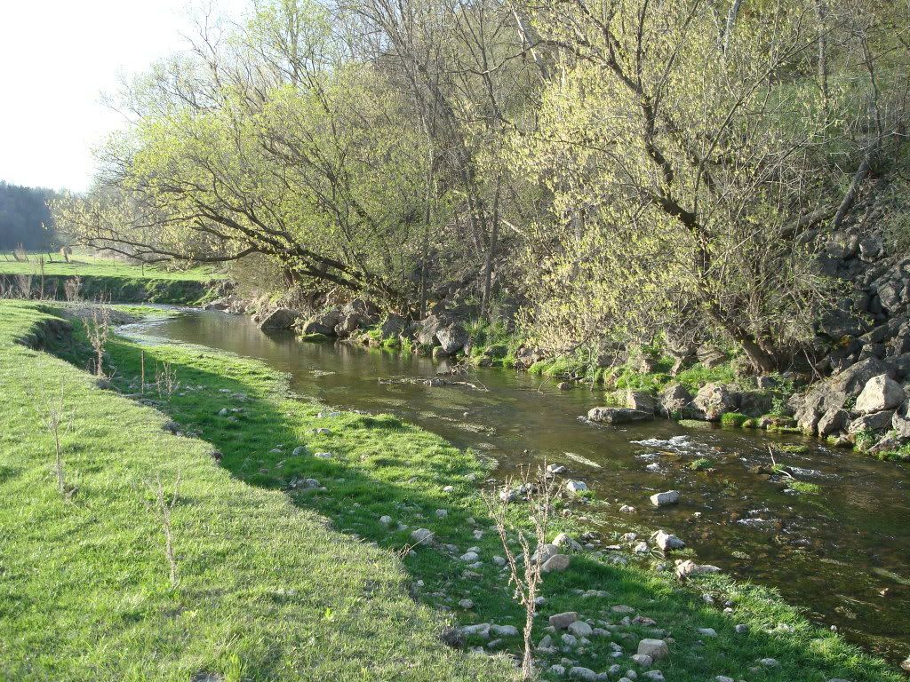 008-6.jpg