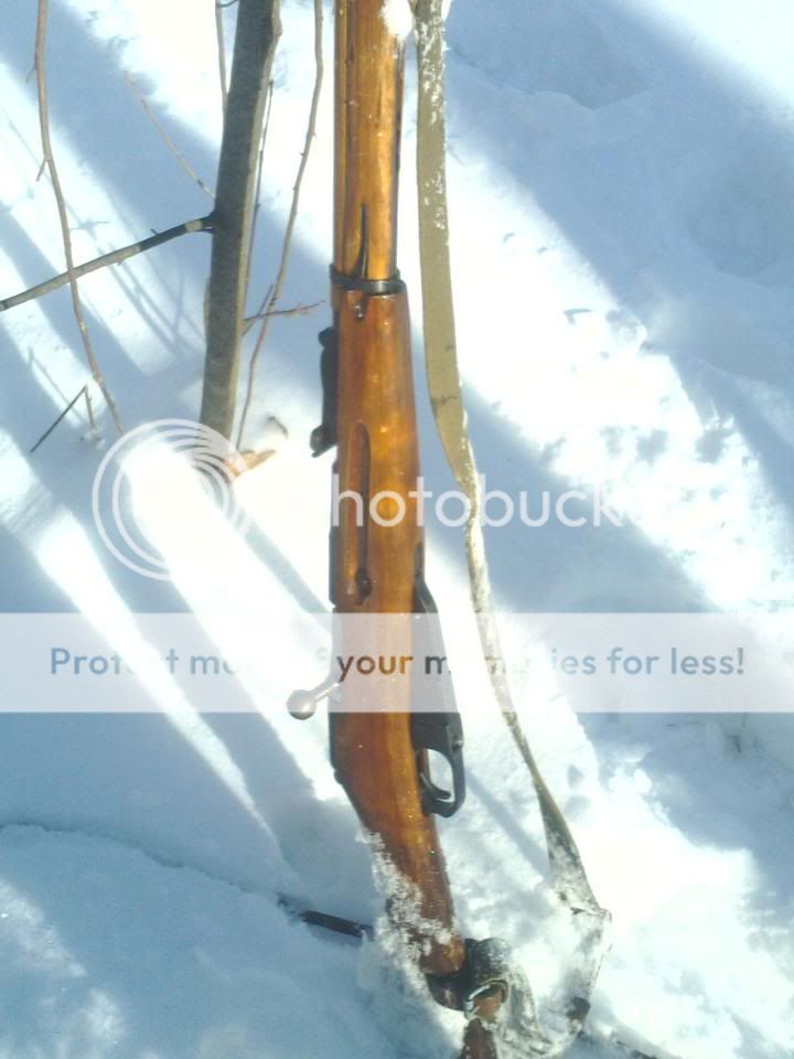mosinsnow.jpg