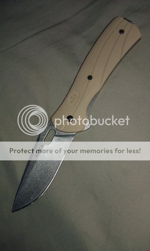 Buck1.jpg