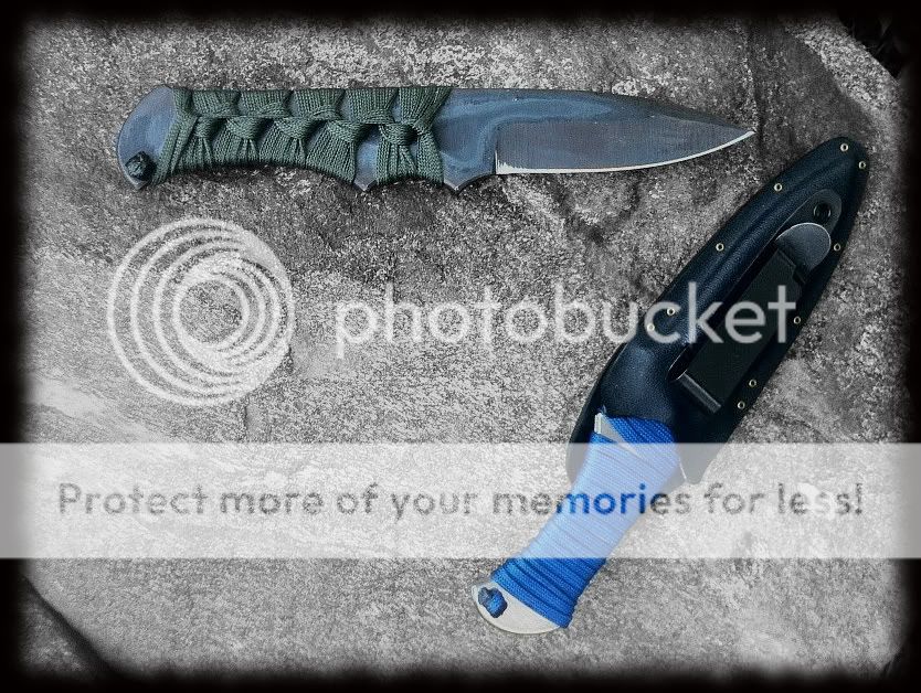 bloodshark-edit.jpg