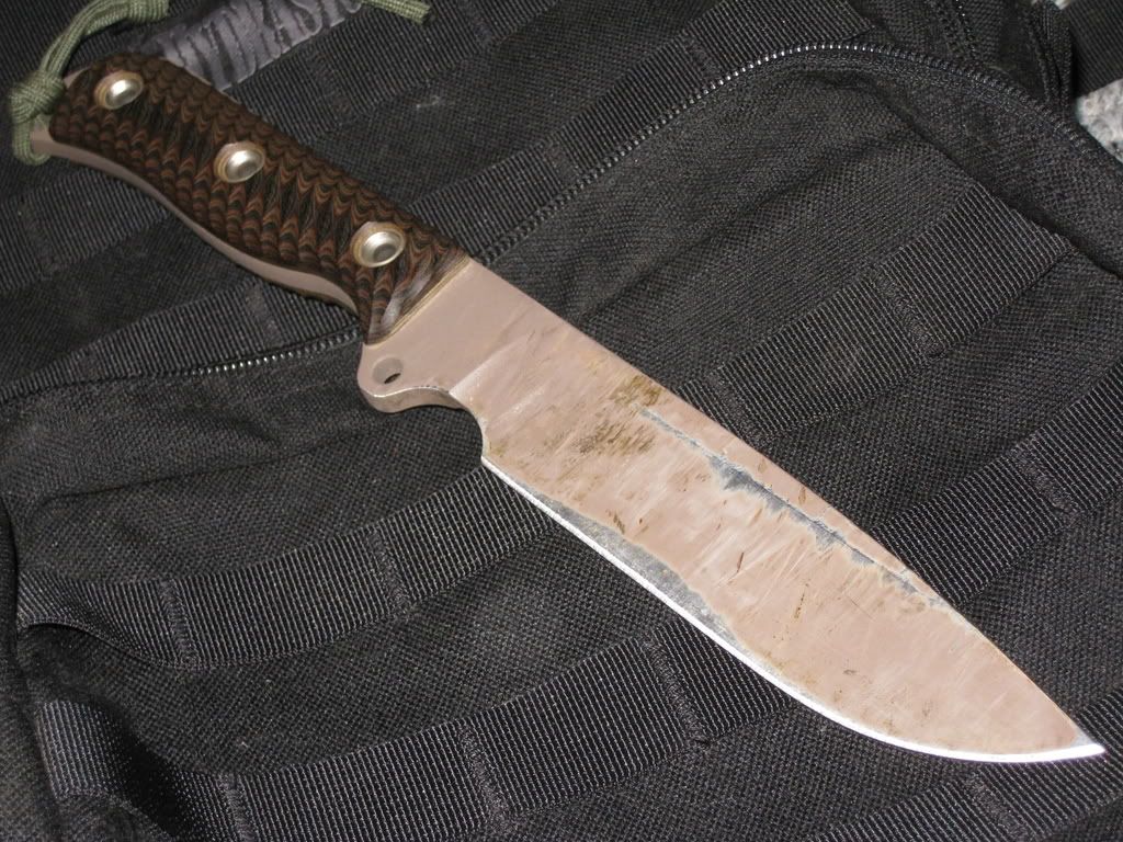Picture322-1.jpg