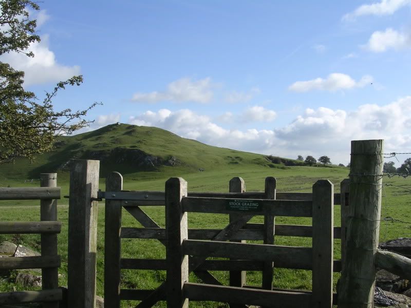 DSCN2925.jpg