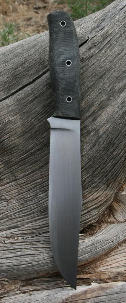 BCMBowie2007.jpg