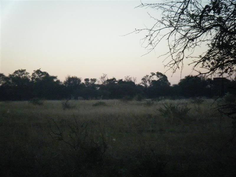 DSCF2406Medium.jpg