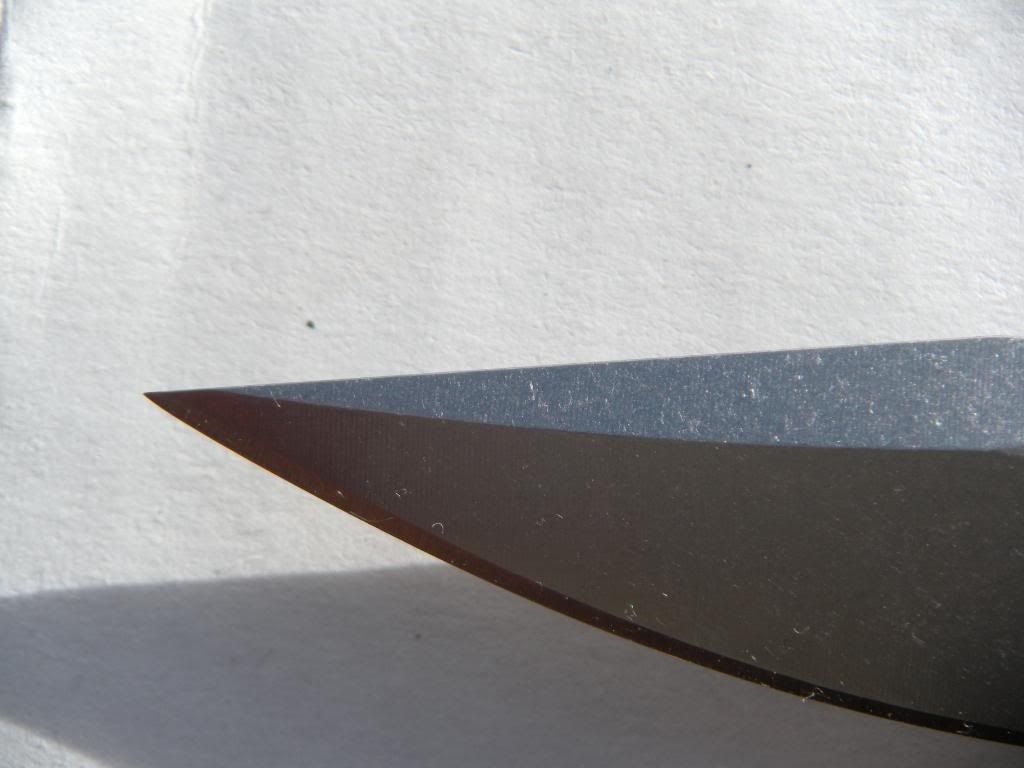 DSCN1460.jpg