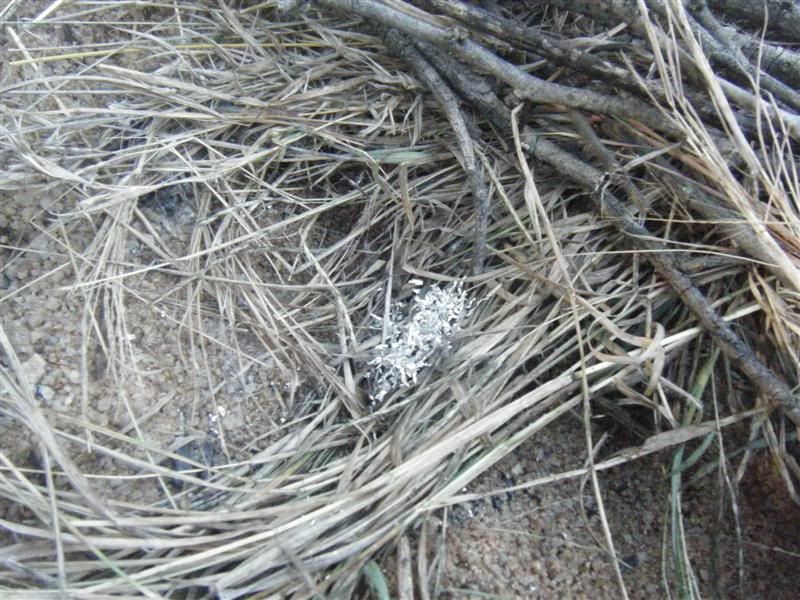 DSCF2435Medium.jpg