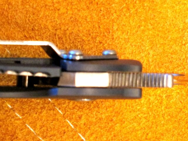SpyFluted6_zps23006b3d.jpg