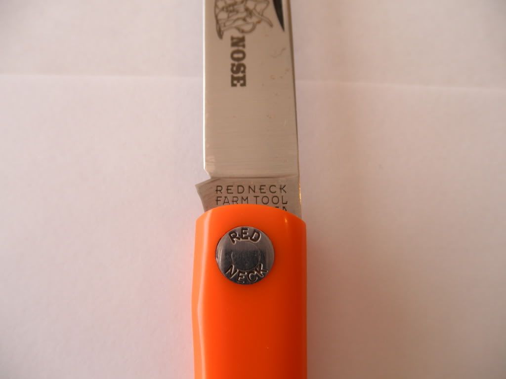 PA100459.jpg